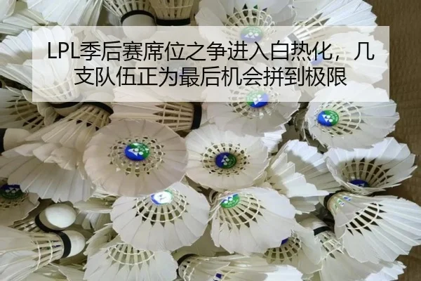 LPL季后赛席位之争进入白热化，几支队伍正为最后机会拼到极限